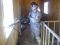 armyguy221